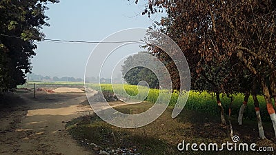 Nature of sight looks very beutyful with great emaging of trees culvation area in small village Stock Photo