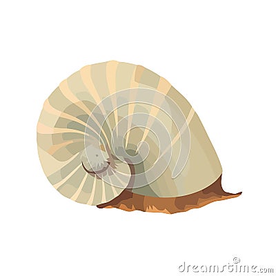 Nature slow spiral a yellow snail on a white seashell Vector Illustration