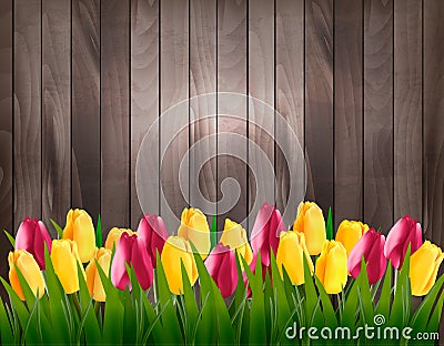 Nature spring background with colorful tulips on wooden sign. Vector Illustration