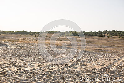 Nature. steppe. sand. conservation area landscape Stock Photo