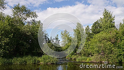 Nature summer background lake flora Stock Photo