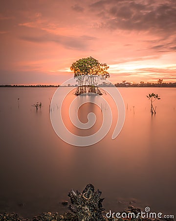 Nature sunset sunrise landscape beautiful tropical longexposure Stock Photo