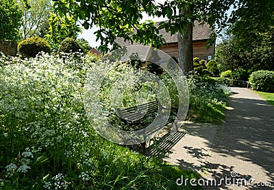 Nature takeover: white cow parsley grow around a black bench outside Eastcote House Gardens, Hillingdon, UK. Stock Photo