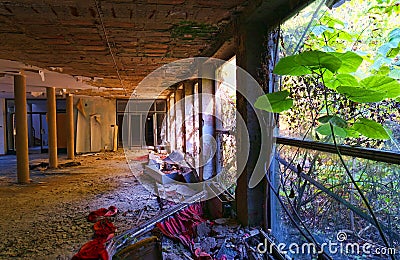 Nature Taking Over Abandoned Building Stock Photo