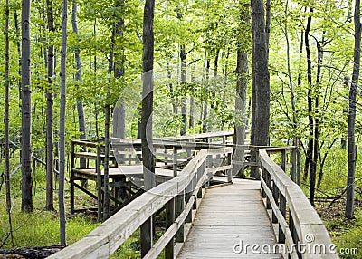 Nature Trail Stock Photo