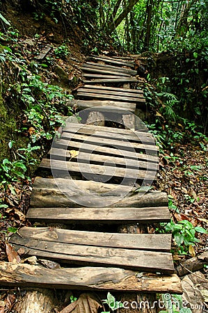 Nature trail Stock Photo