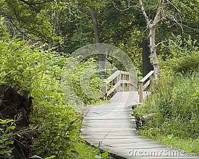 Nature Trail Stock Photo