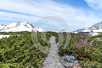 Nature trail at Murodo on Tateyama Kurobe Alpine Route Stock Photo