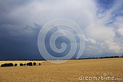 Clouds over a wheat field Stock Photo