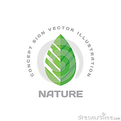 Nature vector logo design in flat style. Green leaf creative sign. Organic product symbol. Vector Illustration