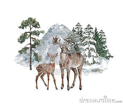 Nature in winter illustration with hand drawn deer, doe, falling snow, pine trees and mountain. Watercolor snowy forest landscape Cartoon Illustration