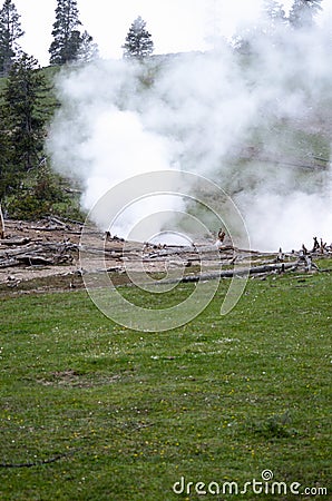 Nature in Yellowstone National Park Stock Photo