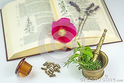 Naturopathy with herbs Stock Photo