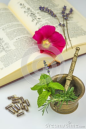 Naturopathy with herbs Stock Photo