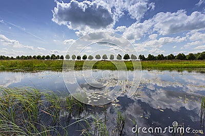 Natuurgebied Delleboersterheide, Nature reserve Delleboersterheide Stock Photo