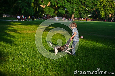 The naughty boy plays with doggy on a green glade in park. Stock Photo
