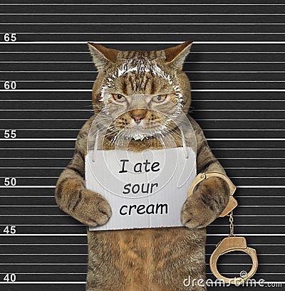 Naughty cat ate sour cream Stock Photo