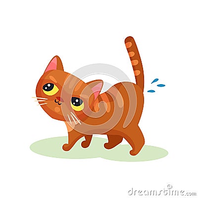 Naughty kitten peeing on the floor, mischievous cute little cat vector Illustration on a white background Vector Illustration