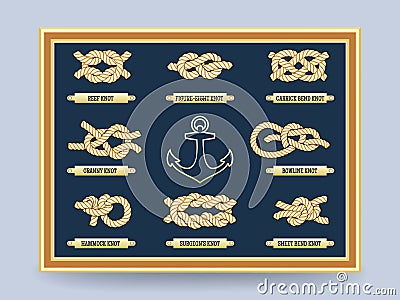 Nautical rope knots Vector Illustration