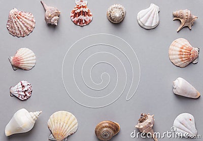 Nautical summer background. Frame from sea shells of different shapes and colors on gray stone background. Elegant minimalist Stock Photo