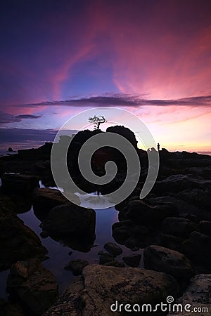 Isolated tree during sunset Labuan Island Stock Photo