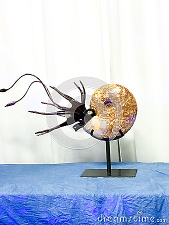 Nautilus Gone Hungry at The Rock and Gem Show Editorial Stock Photo