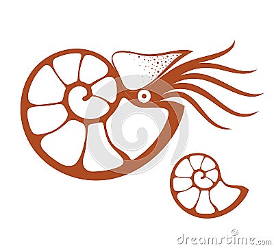 Nautilus Vector Illustration