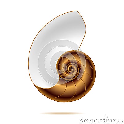 Nautilus shell Vector Illustration