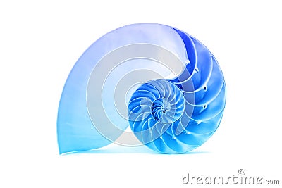 Nautilus shell and famous fibonacci blue geometric pattern Stock Photo