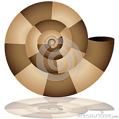 Nautilus Shell Icon Vector Illustration