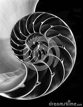 Nautilus shell interior Stock Photo