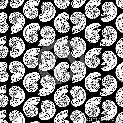 Nautilus Tiger Half-shell. Hand-drawn collection of seamless patterns. Vector illustration Vector Illustration