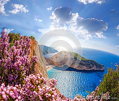 Navagio beach with shipwreck and flowers against blue sky on Zakynthos island, Greece Stock Photo