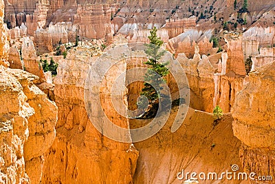 Navajo Loop Trail - Wall Street: Bryce Canyon National Park Stock Photo