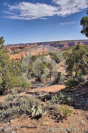 Navajo National Monument located near Shonto, AZ Stock Photo