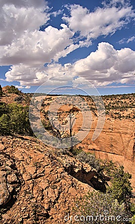 Navajo National Monument is a National Monument located within the northwest portion of the Navajo Nation territory in northern Stock Photo