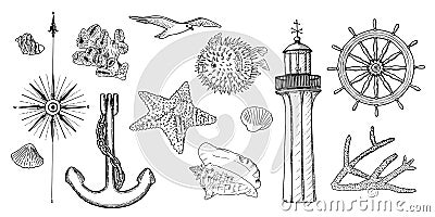 Naval set nautical symbols. Gulls, helm, steering wheel, anchor, light house, coral, shell, wind rose, swellfish, sea Vector Illustration