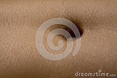 Navel Stock Photo