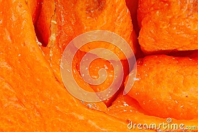 Navel Orange Detail Stock Photo