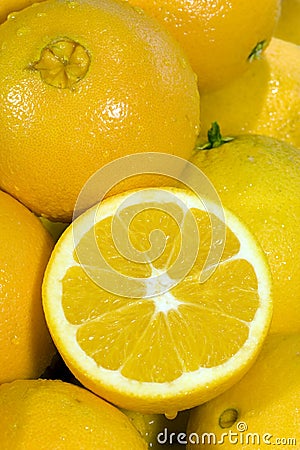 Navel Oranges Stock Photo