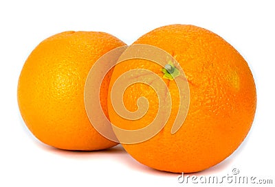 Navel oranges on white background Stock Photo