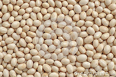 Navy bean background Stock Photo