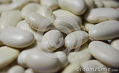 The navy bean, haricot, white bean Stock Photo