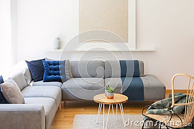 Navy blue cushions on a gray couch, a wicker chair and plants on a round wooden side table in a natural living room interior with Stock Photo