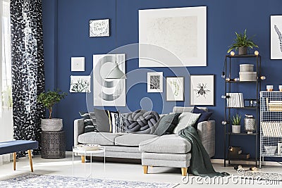 Navy blue room with gallery Stock Photo