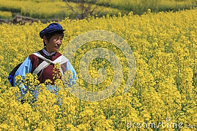 NaXi woman dressed with traditional minority attire in a rapeseed flower near ShiGu village on the first bend of the Yangtze River Editorial Stock Photo