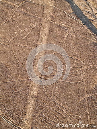 Nazca Lines Stock Photo