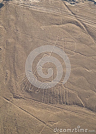 Nazca Lines Stock Photo