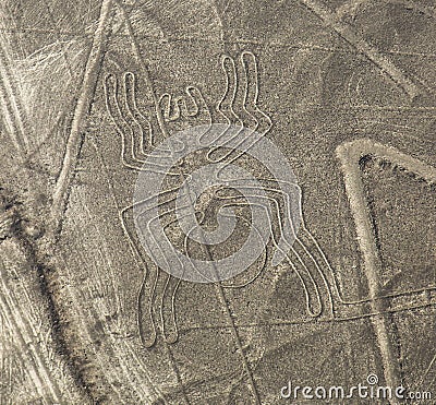 Nazca Lines - The Spider Stock Photo