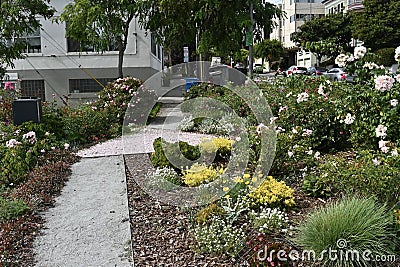 Pink Triangle Park and Memorial San Francisco 8 Stock Photo